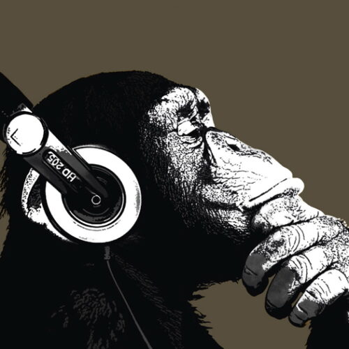 VIRGIN25 40*50 NOIR - CHIMP STEREO