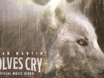 [ID: 1GVICcxlFZY] Youtube Automatic