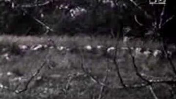 [ID: 76yWZcsgwF8] Youtube Automatic