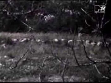 [ID: 76yWZcsgwF8] Youtube Automatic