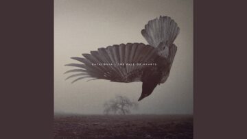 [ID: dDLt2y5CxS0] Youtube Automatic