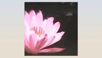 [ID: oKLUy-qXLpo] Youtube Automatic