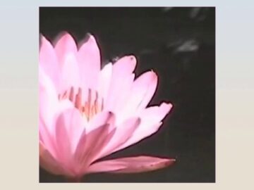 [ID: oKLUy-qXLpo] Youtube Automatic