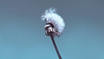 [ID: QeESx7CWTXo] Youtube Automatic