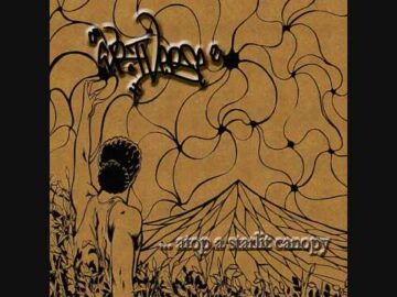 [ID: rX_dygaDw5w] Youtube Automatic