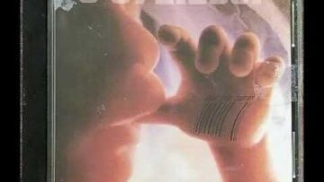 [ID: WNfh9I28tUw] Youtube Automatic