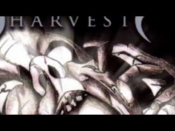 [ID: Y2EzId_-uK4] Youtube Automatic