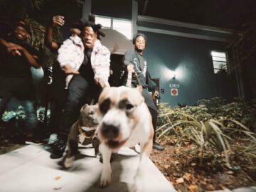 [ID: -Z0FmZ2Sfjk] Youtube Automatic