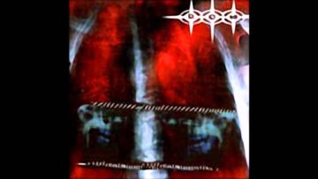 [ID: 0GDU8OlgYOQ] Youtube Automatic