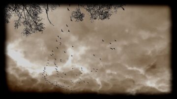 [ID: 1EcigoWTT7o] Youtube Automatic