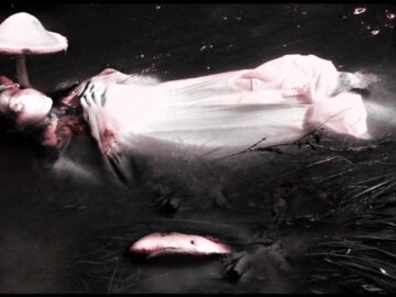 [ID: 4ueeP2V6MD4] Youtube Automatic