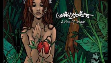 [ID: 5VtsTW_t9xk] Youtube Automatic