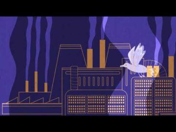 [ID: 5YkgCSPKrxk] Youtube Automatic