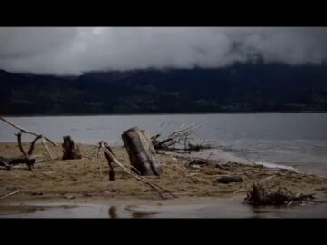 [ID: 6ZNimD8MqRA] Youtube Automatic