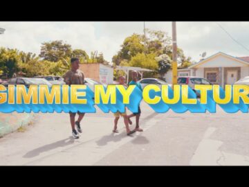 [ID: 8ql0Ww7y_Kc] Youtube Automatic