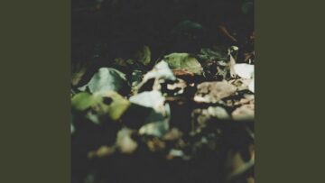 [ID: 9d0yH31U9s8] Youtube Automatic