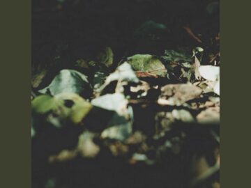 [ID: 9d0yH31U9s8] Youtube Automatic