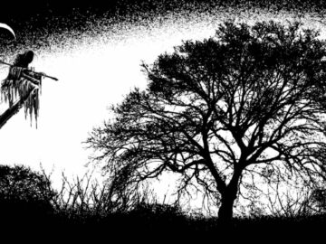 [ID: B8aERgDLmDI] Youtube Automatic