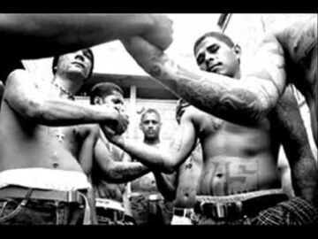 [ID: Bxs76uEbECQ] Youtube Automatic