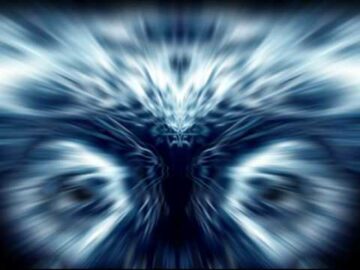 [ID: cBGIxqtWFtA] Youtube Automatic