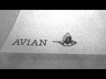 [ID: cLU1RYUzQCM] Youtube Automatic