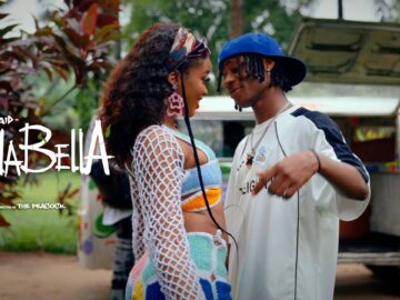 [ID: DnEZg34tR5M] Youtube Automatic