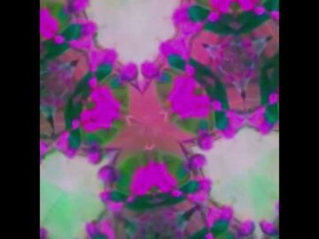 [ID: e-mOgGLeXpU] Youtube Automatic