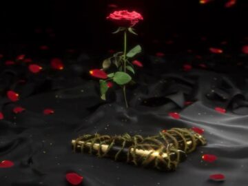 [ID: eD3TP-C3nYE] Youtube Automatic