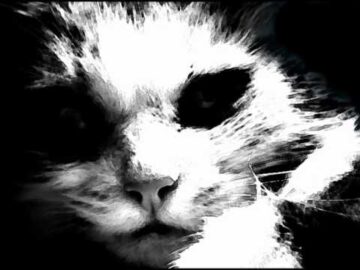 [ID: f0Hb8dpxElE] Youtube Automatic