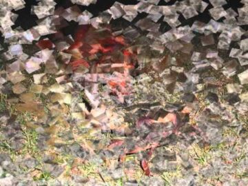 [ID: GRTUly8LEd0] Youtube Automatic