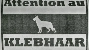 [ID: HYQ2Bz4xRYc] Youtube Automatic