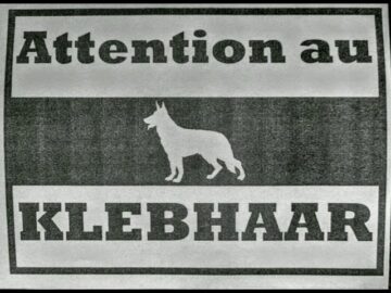 [ID: HYQ2Bz4xRYc] Youtube Automatic