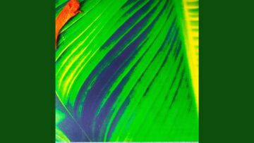 [ID: i-6KFMd7cOU] Youtube Automatic