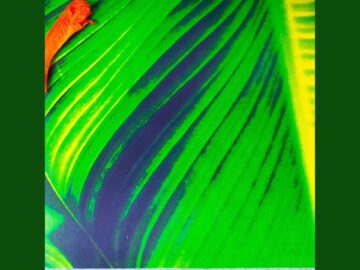 [ID: i-6KFMd7cOU] Youtube Automatic