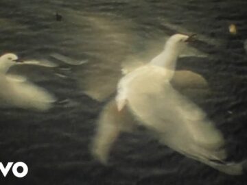 [ID: ibuY1WS9wpI] Youtube Automatic