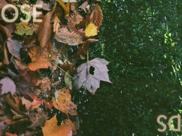 [ID: Ihy7ZhNFLiw] Youtube Automatic