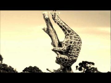 [ID: ijSmr79Oz4c] Youtube Automatic