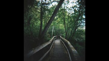 [ID: indDZjEgkC4] Youtube Automatic