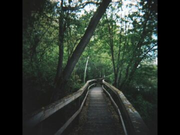 [ID: indDZjEgkC4] Youtube Automatic