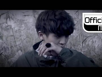 [ID: Ipyn8qqXqGQ] Youtube Automatic