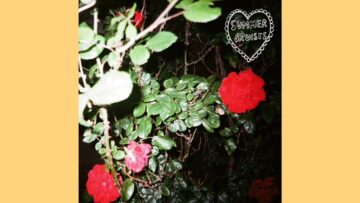 [ID: Lpwb46PDDUM] Youtube Automatic