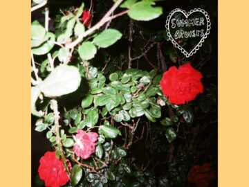 [ID: Lpwb46PDDUM] Youtube Automatic