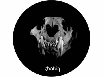 [ID: _lsgXm8ioS0] Youtube Automatic