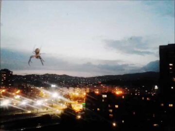 [ID: Ltl3Mr0HUyY] Youtube Automatic