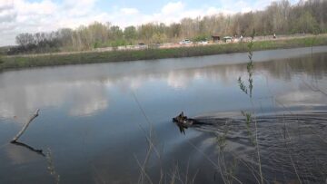 [ID: my6teMVqPFQ] Youtube Automatic