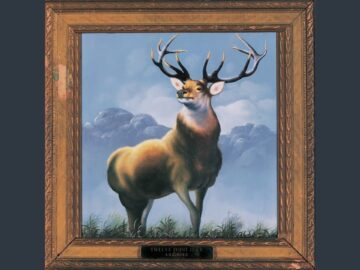 [ID: NHxOySVxaDI] Youtube Automatic