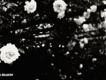 [ID: NVxqzqBx9mI] Youtube Automatic