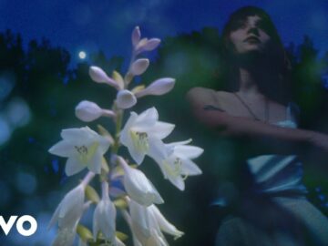 [ID: -O1dQ3Nh8As] Youtube Automatic