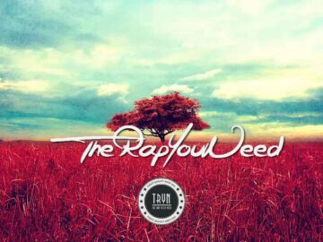 [ID: o7qGQ87i3Oc] Youtube Automatic