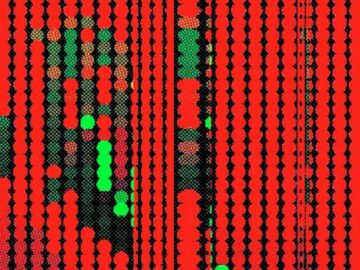 [ID: ofuZ_QD4POU] Youtube Automatic